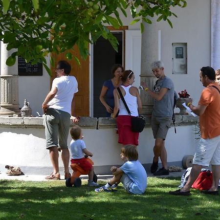 Turjan Vendeghaz Hotell Erdőbénye Exteriör bild