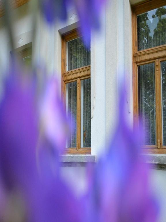 Turjan Vendeghaz Hotell Erdőbénye Exteriör bild