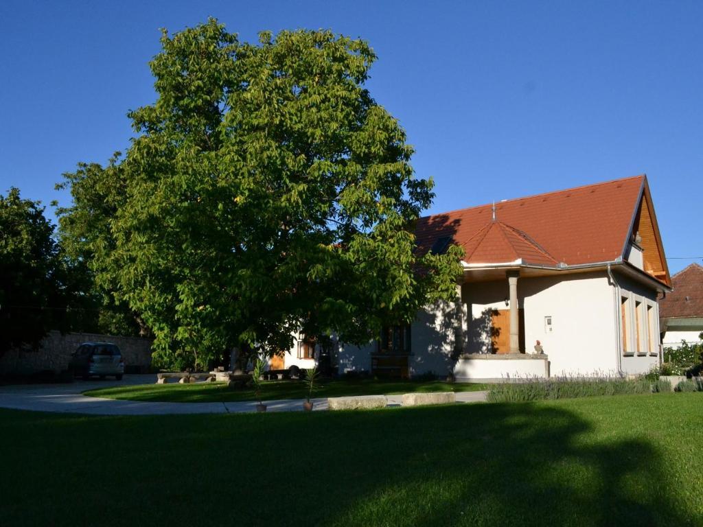 Turjan Vendeghaz Hotell Erdőbénye Exteriör bild