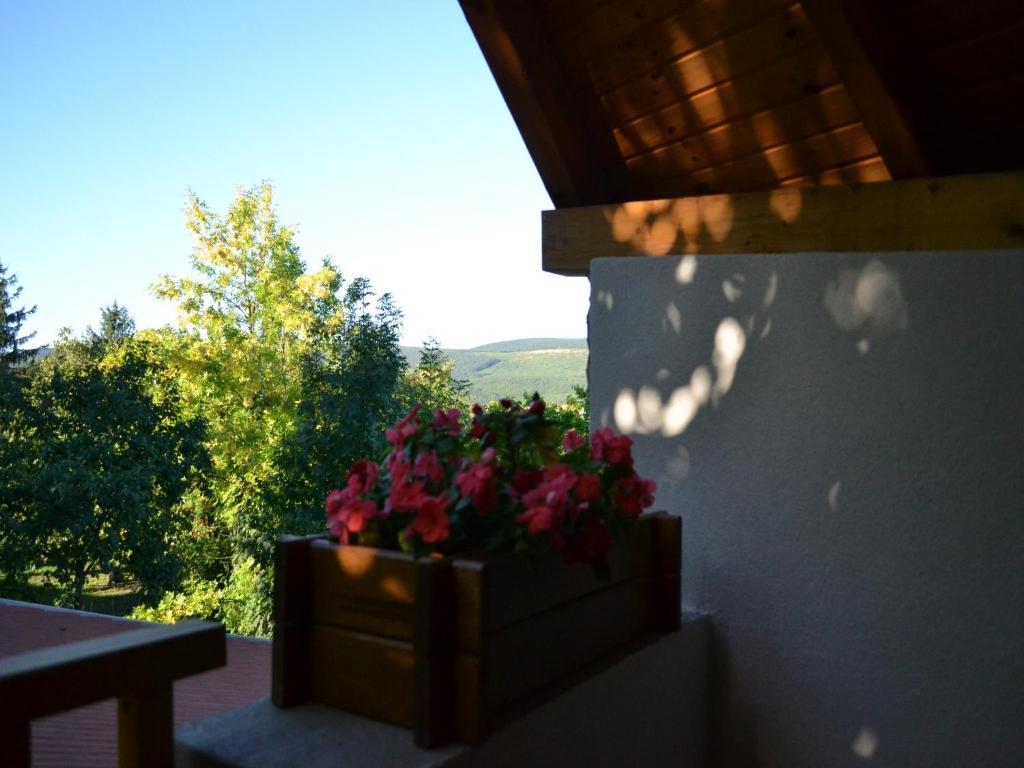 Turjan Vendeghaz Hotell Erdőbénye Exteriör bild